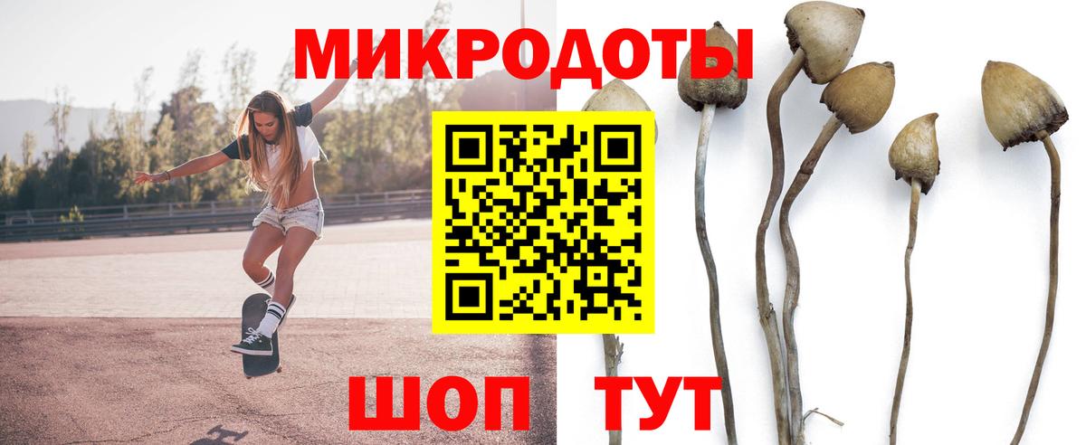 Псилоцибиновые грибы MAGIC MUSHROOMS Можга