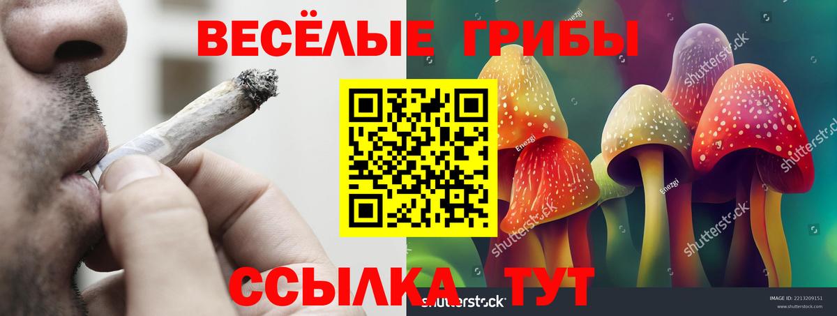 Галлюциногенные грибы GOLDEN TEACHER  Вход с VPN  Можга  Псилоцибиновые грибы прущие грибы 